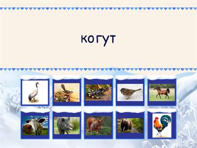 1 Діалектичні назви ("Я ЛЮБЛЮ УКРАЇНУ" 2 сезон 8 випуск. 3 раунд)