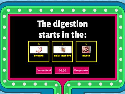 Digestive system