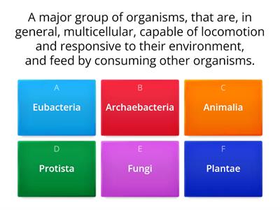 Classification Quiz