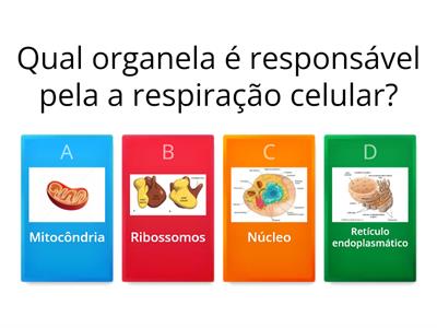 Questionário sobre Células 