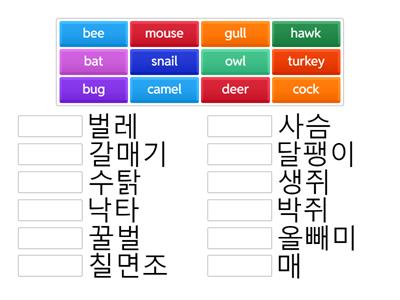 경선식 초등 영단어 1권 2강