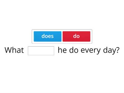  Do/Does/Doing/to be practice 