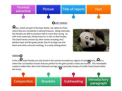 Non-chronological Report Features