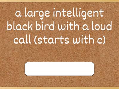 STD 5 ENGLISH (JULY 1)