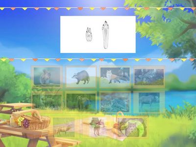 Meža dzīvnieki un to nospiedumu "pēdas"