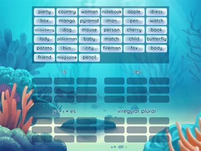 Discover English Starter- Unit 2, Plural of Nouns 1