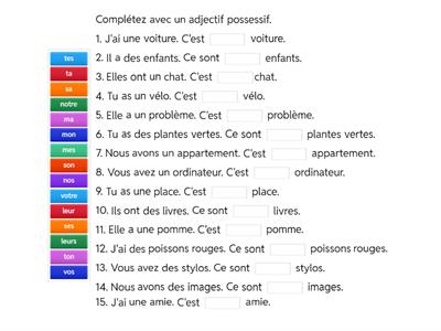 Adjectifs possessifs 3