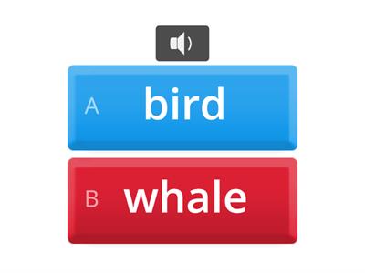 Get ready Starter _ U1 