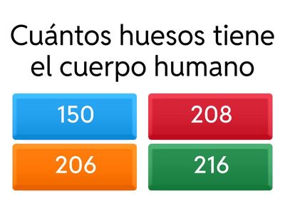 EL CUERPO HUMANO