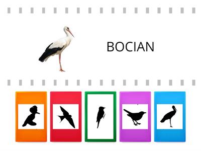 DOPASUJ PTAKI DO ICH CIENI