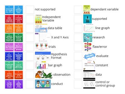 scientific method (6th)