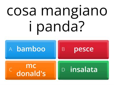panda quiz ricerca 