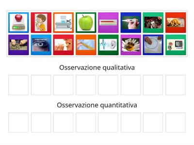 OSSERVAZIONE QUANTITATIVA E QUALITATIVA