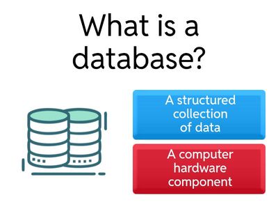 Quiz: Database Basics