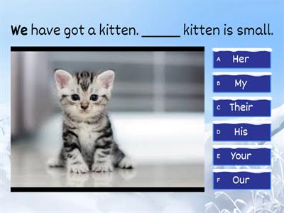 Possessive Adjectives Beginner