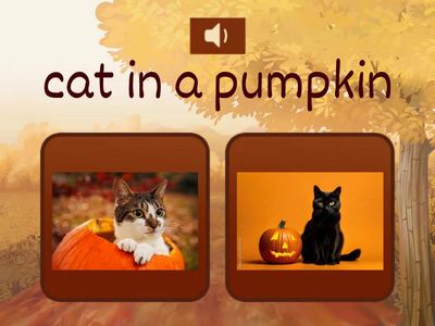 Cats In/On/Under (Receptive)