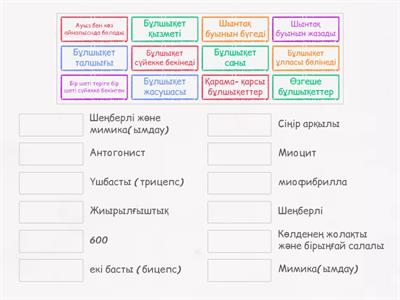 Брюнеткалар мен аққұбалардың эротикалық фотосуреттері