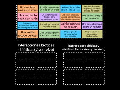 Span_C12L1: Bioitic/Abiotic Sort (5.12A)