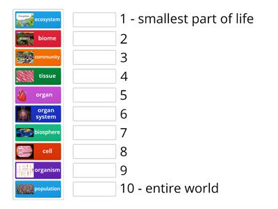 Levels of Organization