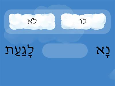 מילים הומופוניות 