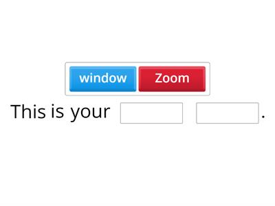 Zoom Functions Sentences