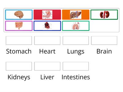 Organs match up