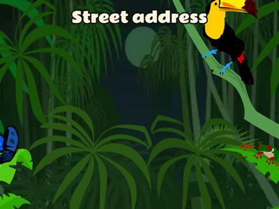 Writing messages and forms - flying Fruit