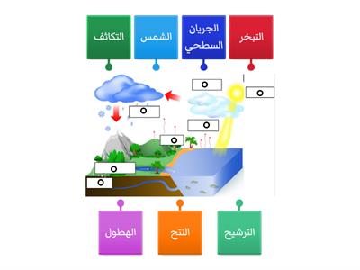 دورة الماء