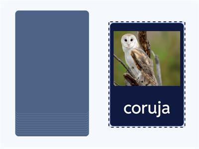 Cartas com fonema /r/