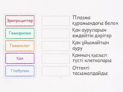 Сәйкестендіру тесті