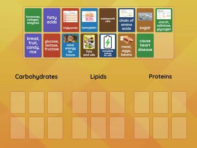 Types of Biomolecules