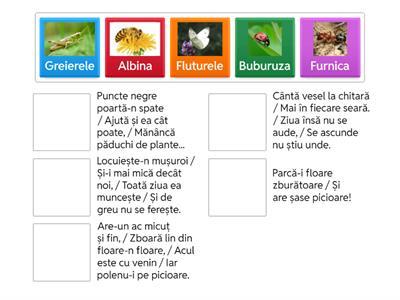 Insecte, Preșcolar, Grupa Mijlocie