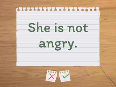 to be affirmative & negative ( short form )