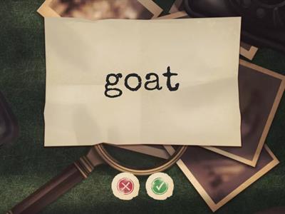 усі тваринки 