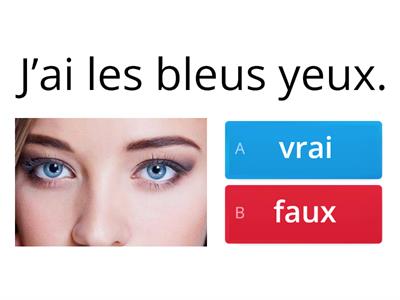 La place des adjectifs est-elle correcte ?(Ados 3 M_2) Réponds par vrai ou faux.