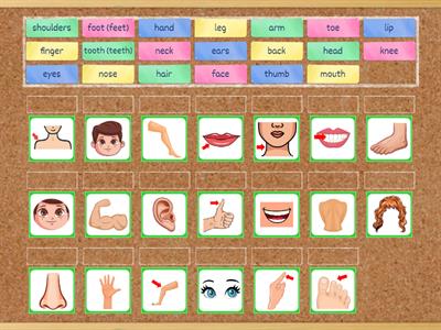 My_body_Match_up #my_teaching_stuff