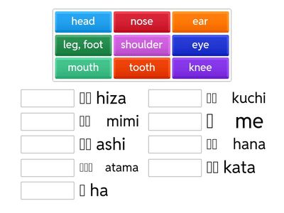 Simplified Japanese Body Parts