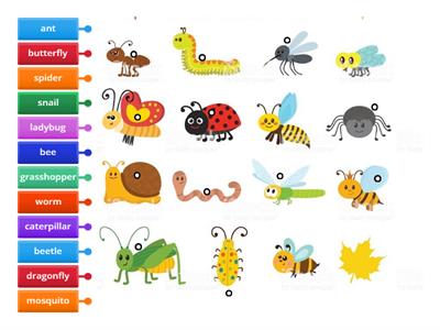 Label the Creepy Crawlies