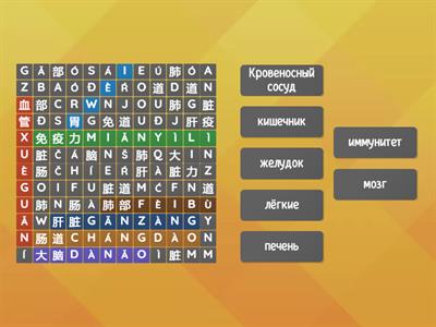 Внутренние органы 