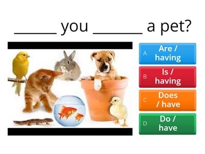 Present Simple or Present Continuous