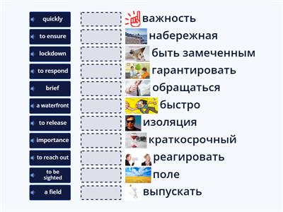 Олимпиада a bear is sighted 