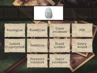 session 1 Forensic Science vocabulary 