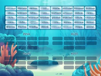 Vzory podstatných jmen r. Ž