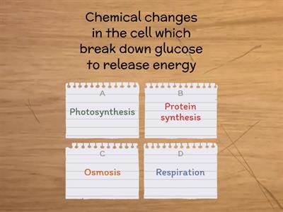 Quiz Aerobic Respiration (N5)