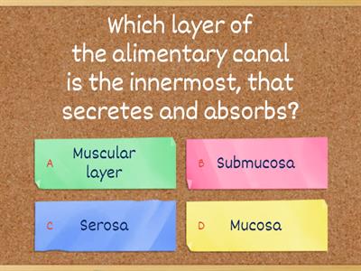 Review: Digestion Test