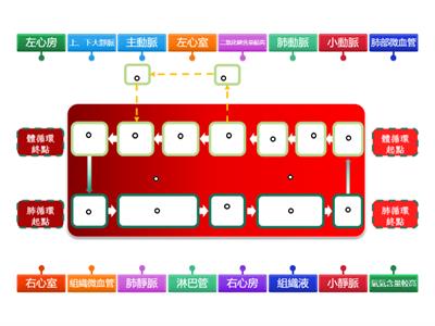 7上體循環肺循環順序圖表標籤(康軒版)