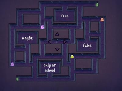 Observations VS Inferences 