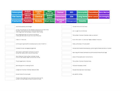  Revision on Skeletal System