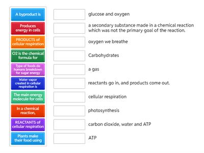 Cellular respiration