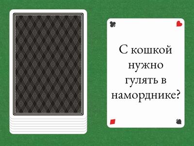 Ответы на вопросы